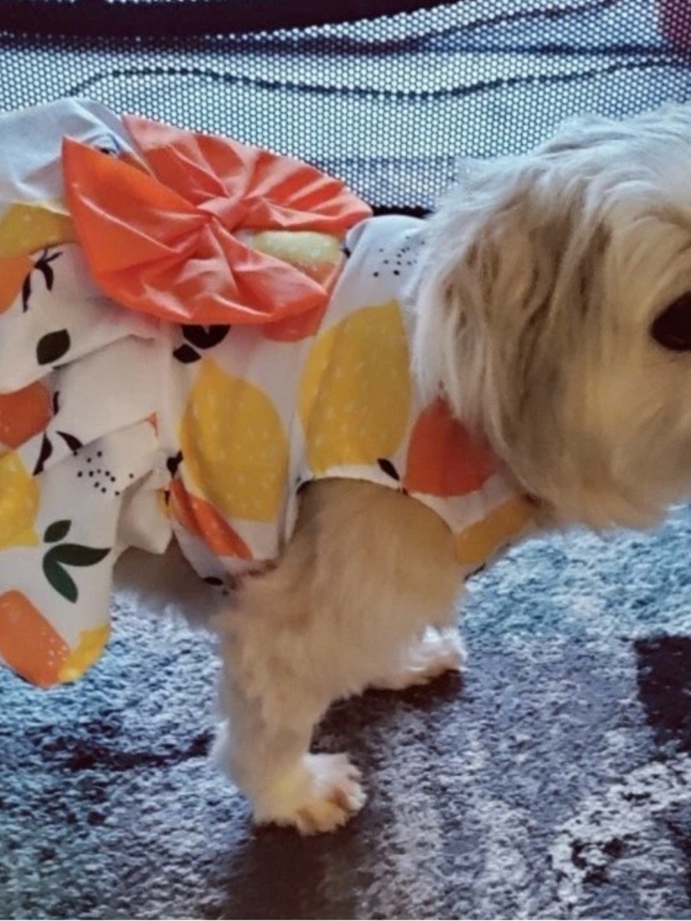 Lemon Print Orange Pet Dress for Dogs - Cute Summer Style XL